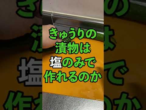 塩のみできゅうりの漬物は作れるのか？ #Shorts