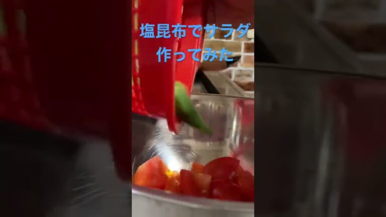 【簡単レシピ】塩昆布とごま油でサラダを作る#簡単レシピ #自炊レシピ #料理初心者 #時短レシピ #酒のつまみ #ずぼら飯 #サラダレシピ