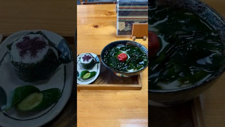 【金沢ラーメン】加登長市郎平　梅わかうどん　おにぎり　#movie #ramen #라면 #拉面 #noodle