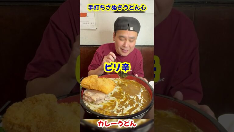カレーうどん「手打ちさぬきうどん心」