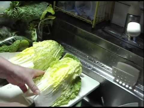 2011/12/10_白菜と厚揚げの煮物