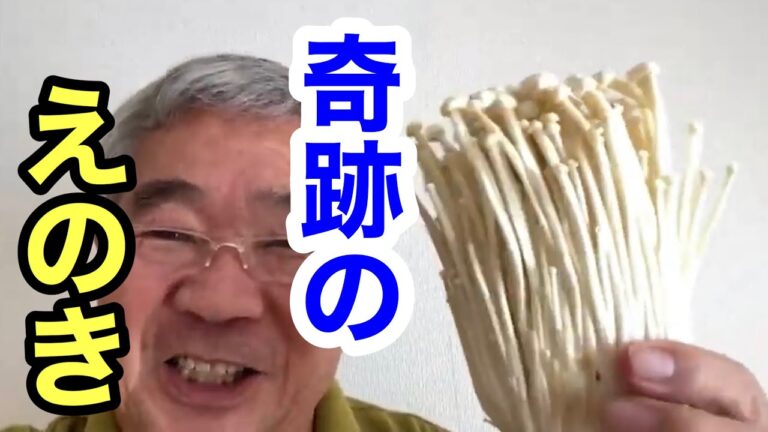 【えのきステーキ丼】えのき丸ごと使用【しょうゆバターエノキステーキ丼】