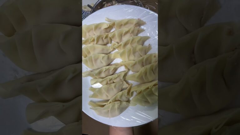 新玉ねぎの餃子🥟