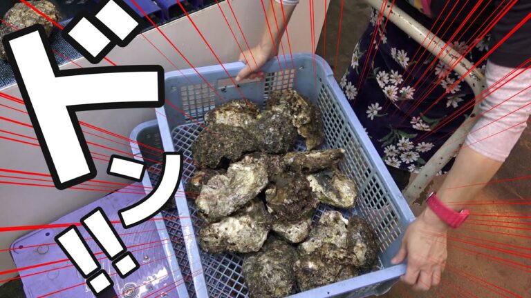 もう。お別れですね。また来年会いましょう。。。。カキさん。