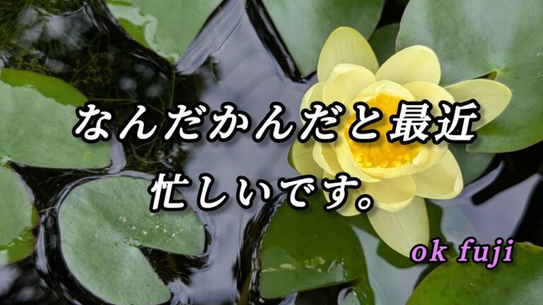 (70代夫婦 )okfuji                    小さな花火大会/バターナッツかぼちゃでグラタン