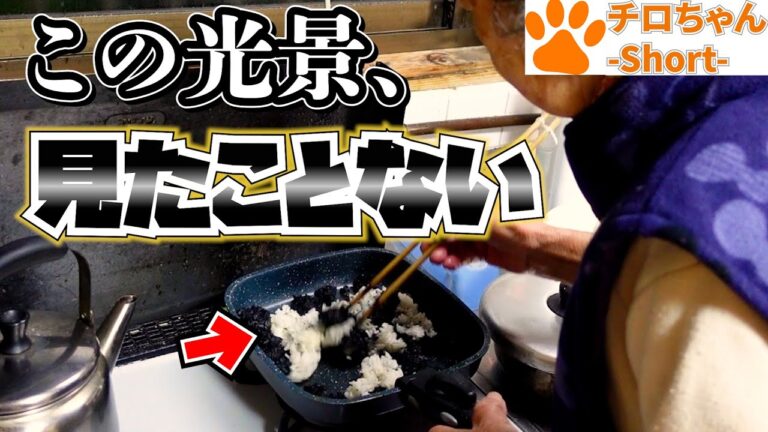 とある日の夕食 ばあちゃんがイカ墨パエリアにご飯ぶっこんだ。４K＃shorts