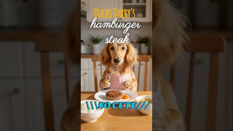 #shorts【癒しのハンバーグ作り】Darryちゃん　買い物からお料理まで全部やってみた🍳#ダックスフンド  #癒し動画  #犬のいる暮らし #AI映像  #ペット動画 #可愛い犬 #癒しの時間