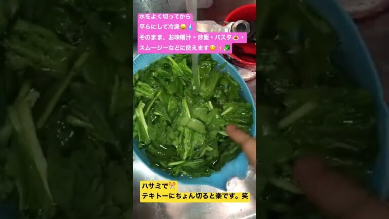 ほうれん草はよく洗って水を切り、そのまま冷凍できます😀‼️【野菜を手軽に賢く料理】【お米生活】