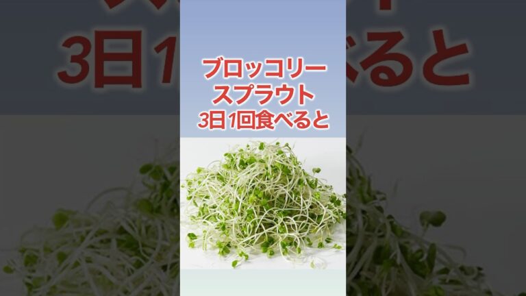 【健康食品】ブロッコリースプラウトの雑学！ #shorts #健康 #雑学