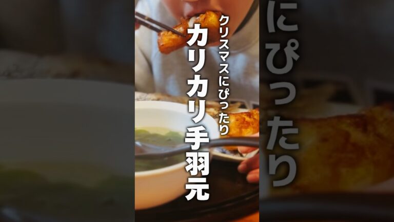 vol.228 もうすぐXmas #手羽元 #唐揚げ  #shorts #japanese #クリスマス