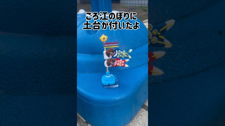 お出かけしないこどもの日は柏餅食べて菖蒲湯だ🎏#shorts #菖蒲湯#飾ってみた