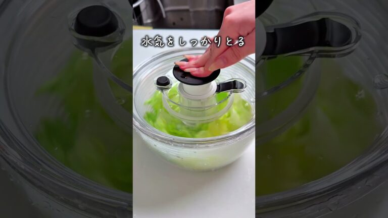 レタス半玉秒で消えたサラダ