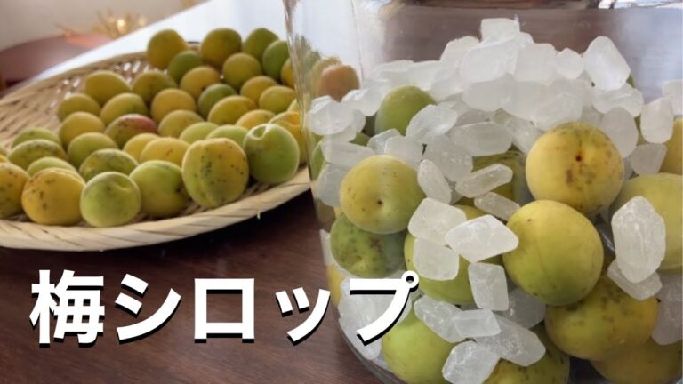 自家製の梅シロップの作り方！絶品の甘酸っぱい味わいを自宅で楽しもう！