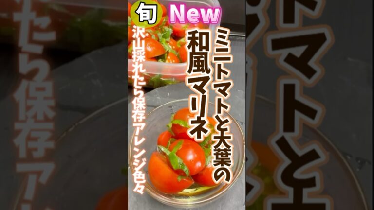 ミニトマトと大葉の和風マリネ・沢山採れたら保存アレンジ色々 ＃ #旬菜クッキング ＃ミニトマト ##トマト保存