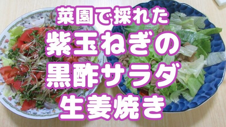 新鮮な紫玉ねぎの生野菜サラダと黒酢ドレッシング&生姜炒め豚肉 | 農薬不使用の紫玉ねぎ