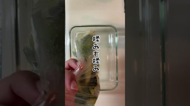 リュウジさんのバズったレシピ〜無限ニンニクきゅうり🥒🧄くせになるよ♪