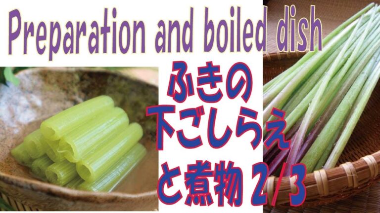 【ふきの下ごしらえと煮物】2/3簡単健康ダイエットレシピ[Butterfly preparation and boiled food] (1/3) Simple healthy diet recipe