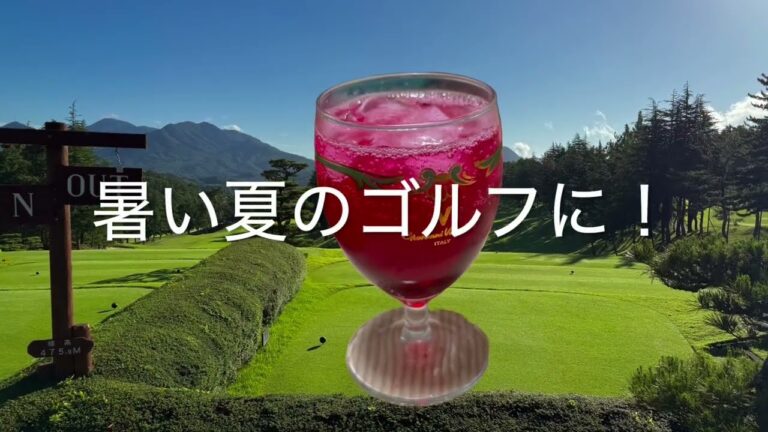 20250610-紫蘇ジュース 手作り 暑さ対策 のむのむ