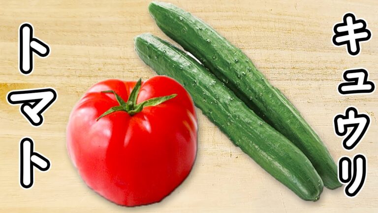 【キュウリとトマトの簡単レシピ】ごま油の風味がたまらない！切って和えるだけ♪箸が止まらないナムルの作り方　時短レシピ　節約レシピ