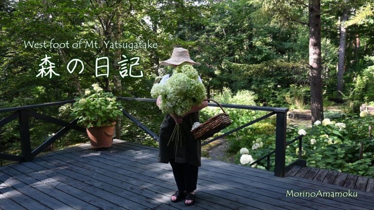 古い山荘の片付け/高原野菜のお料理/トトロの気配？
