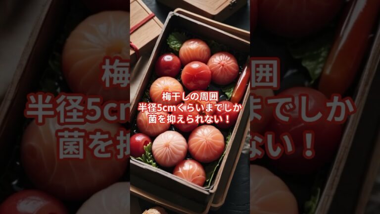 お弁当にも、おにぎりの具も、やっぱり梅干しがいいんですね。#雑学チャンネル#お弁当#梅干し#抗菌作用#青山龍