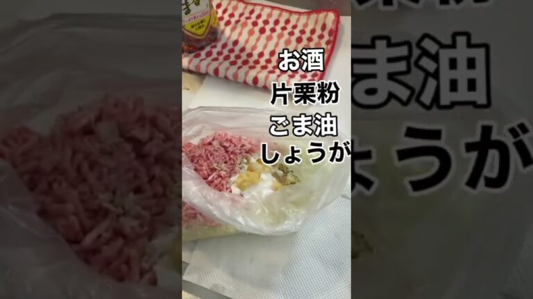 簡単しゅうまい！ズボラ主婦の手抜き方法　#豚ひき肉 #レシピ #主婦 #お家ごはん