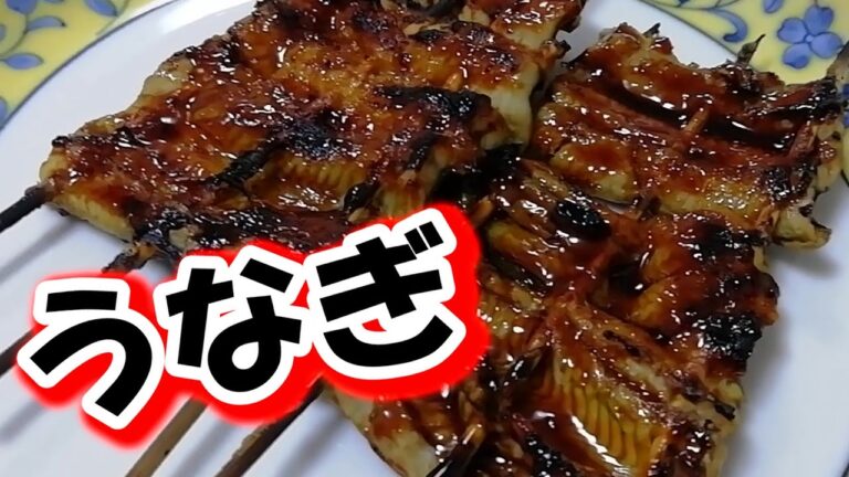 【料理編】川で釣った天然うなぎでうな丼を作ってみた　(ゲスト)テナガエビ