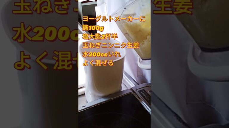 【自家製カレールウ】油も添加物もないカレー麹の作り方　#shorts  #カレー麹