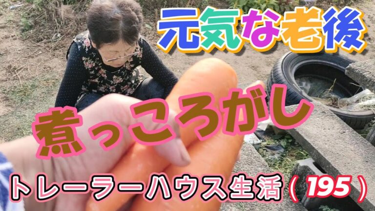 【81歳トレーラーハウス老後生活】THE,おばあちゃん料理（195）
