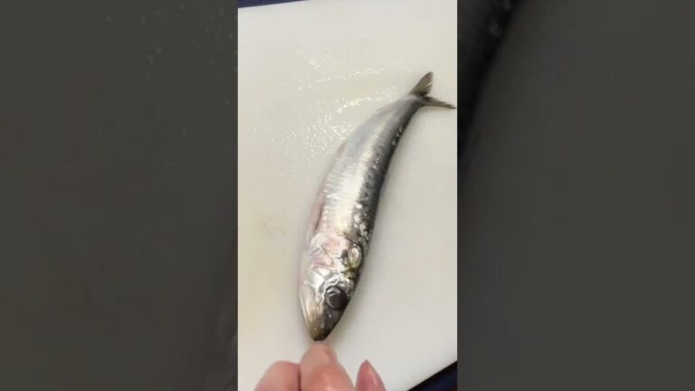 #魚#魚さばき#お刺身#イワシ#お魚#青物#料理#自炊