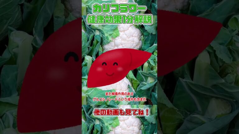 【ゆっくり解説】カリフラワーの栄養を1分で解説 #shorts