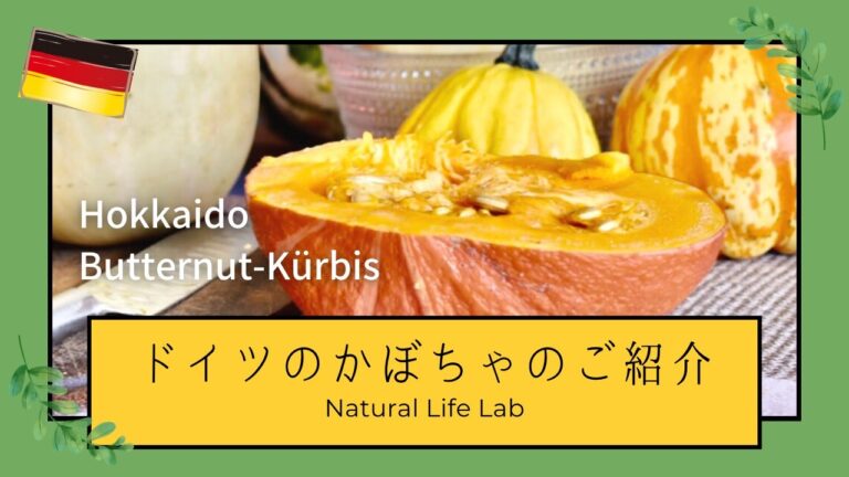 ドイツのかぼちゃのご紹介（Hokkaidoとバターナッツかぼちゃ）切り方、味の特徴、レシピ）/pumpkin, Kürbis, recipe