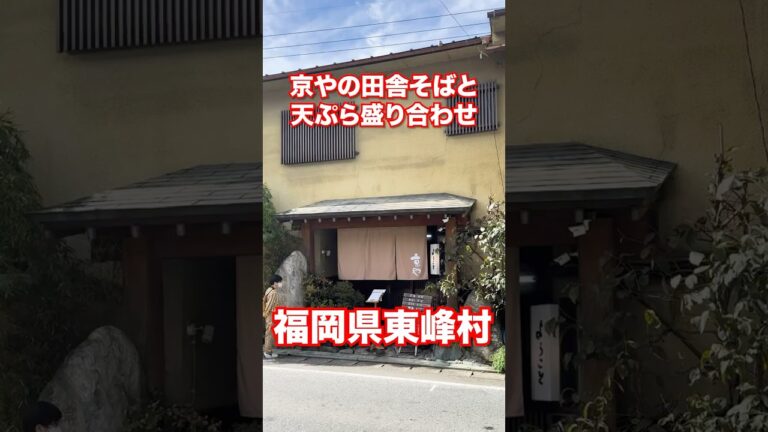 京やの田舎そばと天ぷら盛り合わせ！#福岡 #グルメ #ランチ #蕎麦 #天ぷら #ぼっち #旅 #観光 #九州