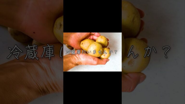 簡単じゃがいもレシピ、娘が何枚もおかわりしたガレット#簡単レシピ  #じゃがいもレシピ #家族ごはん #節約ごはん  #今日の晩ごはん #保存レシピ#shorts #料理　#料理動画