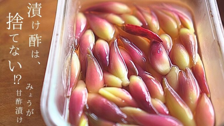 【砂糖なし】みょうがの甘酢漬けで『○○も漬ける』バテ気味にはこれ！作り置きに重宝します。