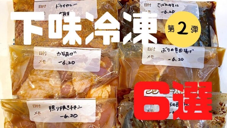 【下味冷凍②】鶏もも肉/牛豚合挽き肉/鯖/鰆/ブリ/夜ご飯献立/時短/レシピ付き/共働き夫婦