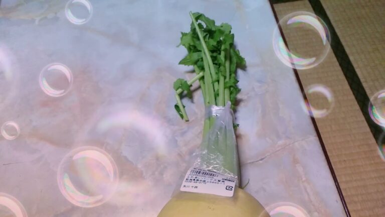 聖護院だいこん＼(~o~)／(●´ϖ`●)♡♡♡♡♡♡♡♡♡♡🌺🧡💜❀🌼🏵🌼🏵🌼🏵🌼