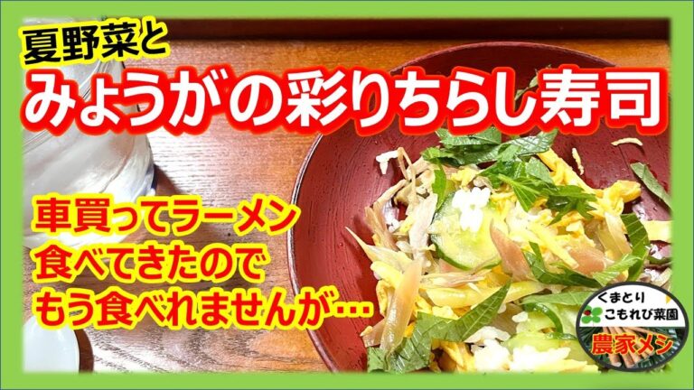 【夏野菜とみょうがの彩りちらし寿司】車買ってきた！