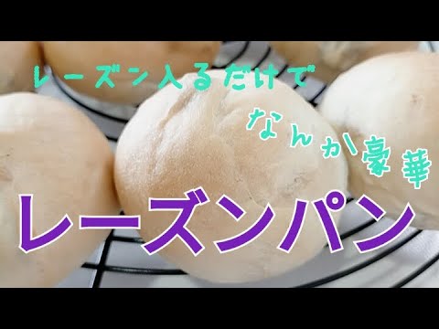 まるパンにレーズン入れたら【レーズンパン】見た目も 美味しさもランクアップ！！　長崎　ほとはのパン教室　おうちで対面、ＺＯＯＭでオンラインレッスン