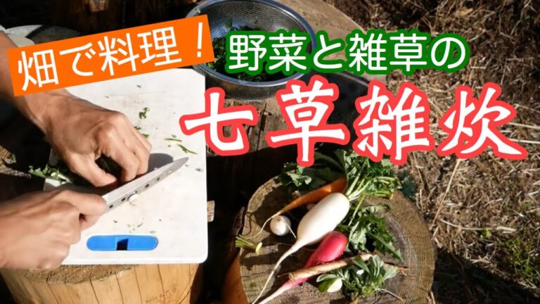 焚き火で七草雑炊を作って食べる【野外料理で雑草食】2020年1月6日
