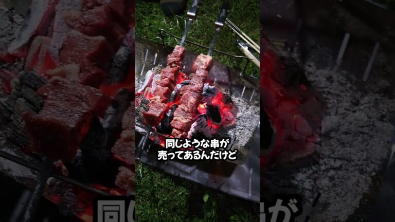 【100均キャンプ】Watts スライドバーベキュー串　45cm