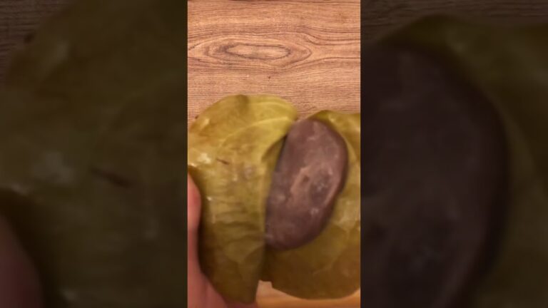 お母さんが作ったかしわもち。