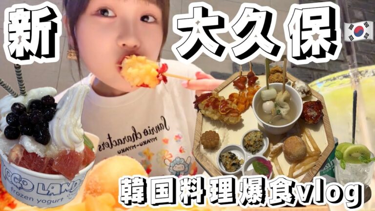 【新大久保】食べ歩き爆食 韓国料理と流行りのフローズンヨーグルトアイス🍦新大久保グルメ