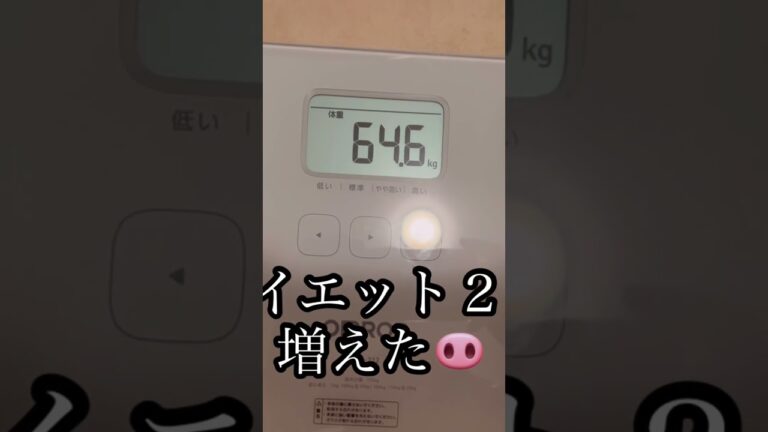 スムージーダイエット２日目