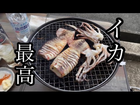 【BBQ】【海鮮】休日はイカ焼きで飲んじゃいます#カインズコンロ