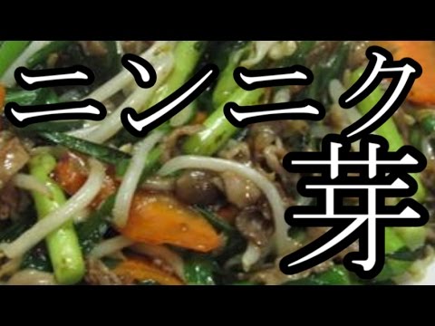【中華鍋使ってみた】夏のスタミナ回復に！ニンニクの芽の中華炒め　作り方