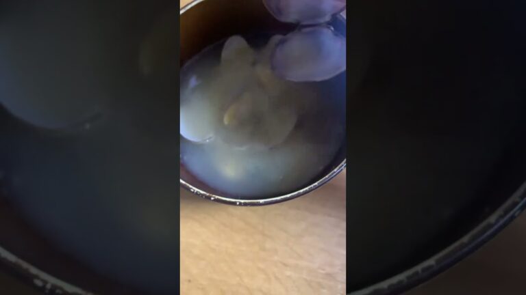 アサリの味噌汁は最高