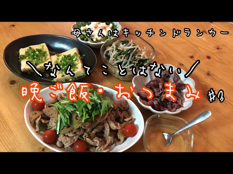 【晩ご飯・おつまみ】#3/料理動画☆/今夜は飲むぞー！