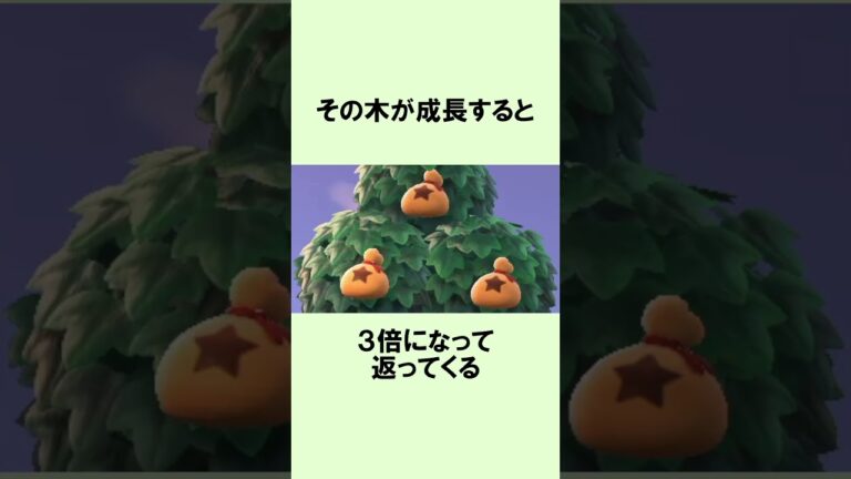 お金のなる木のまめ知識 #Shorts #あつ森 #どうぶつの森 #あつまれどうぶつの森