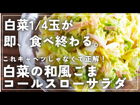 【あと1品に迷ったらコレ】簡単すぎるスピード副菜【白菜の和風ごまコールスロー】の作り方｜さっと和えるだけで完成